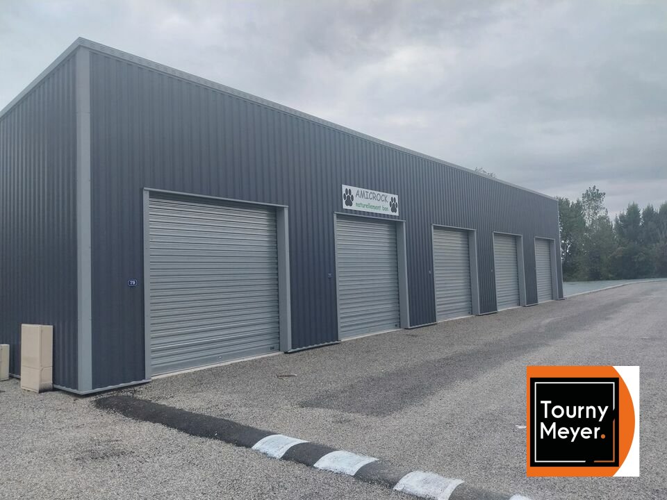 TOURNY MEYER TOULOUSE LOCATION-LOCAL D'ACTIVITE-L'UNION-31