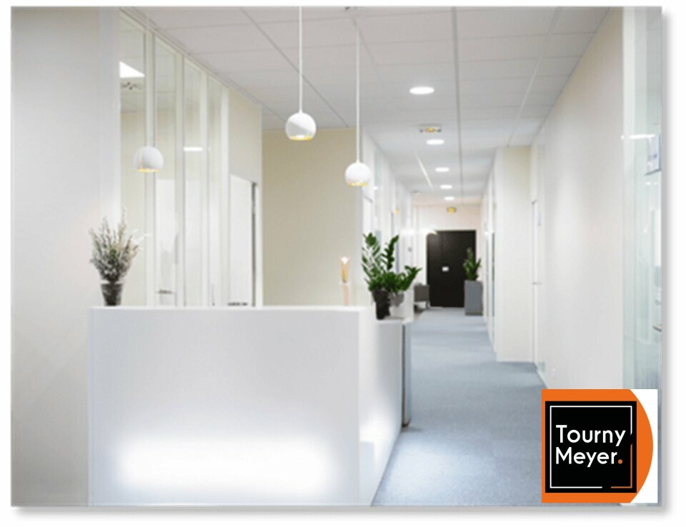 TOURNY MEYER TOULOUSE LOCATION-BUREAUX-TOULOUSE-31