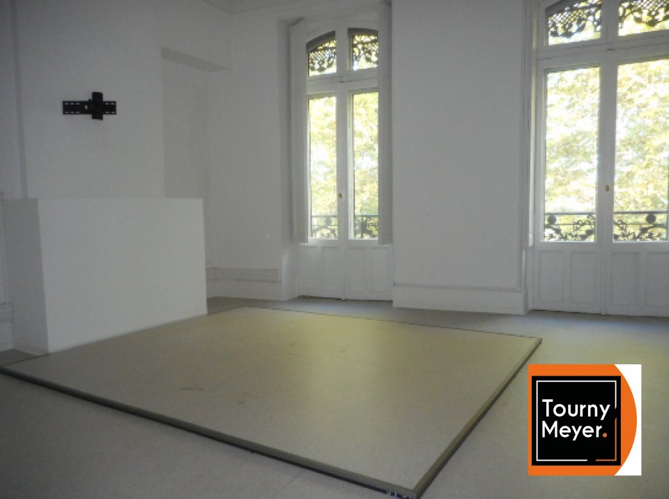 TOURNY MEYER TOULOUSE LOCATION-BUREAUX-TOULOUSE-31