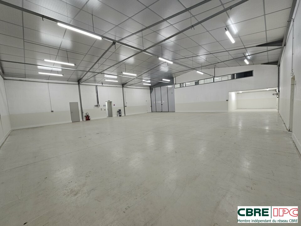 CBRE IPC LOCATION-LOCAL D'ACTIVITE-LONS-64