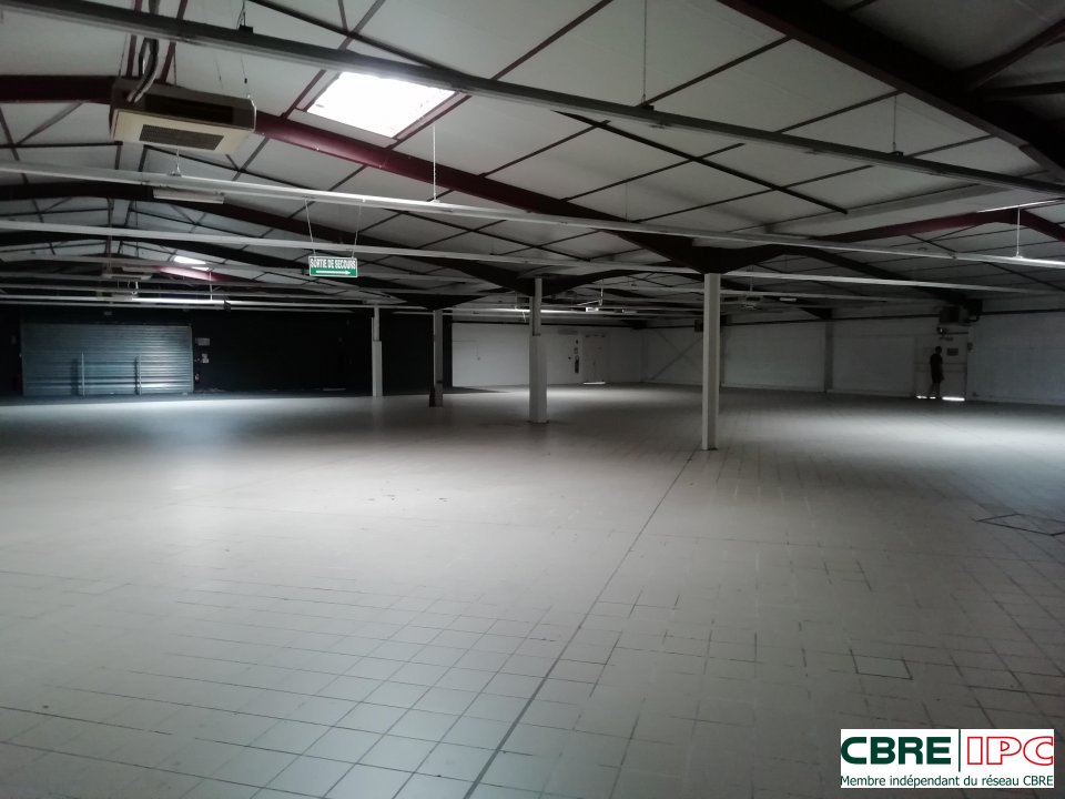 CBRE IPC LOCATION-LOCAL COMMERCIAL-MONT_DE_MARSAN-40