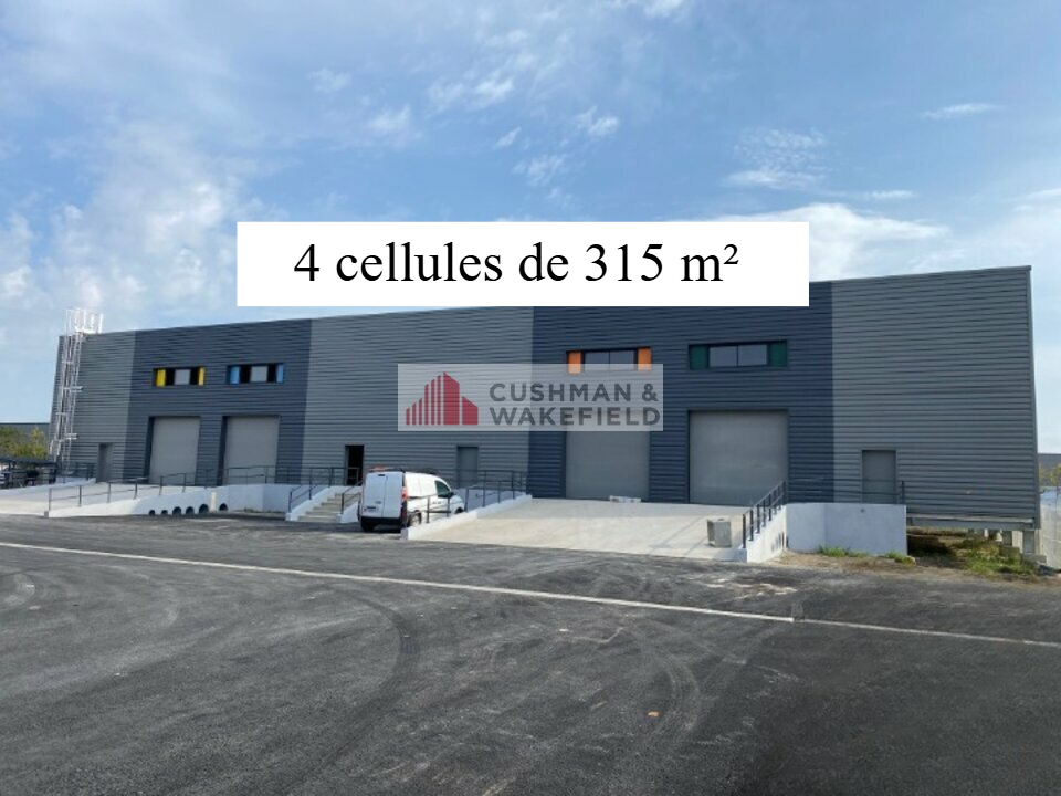 CUSHMAN WAKEFIELD NIMES LOCATION-LOCAL D'ACTIVITE-NIMES-30