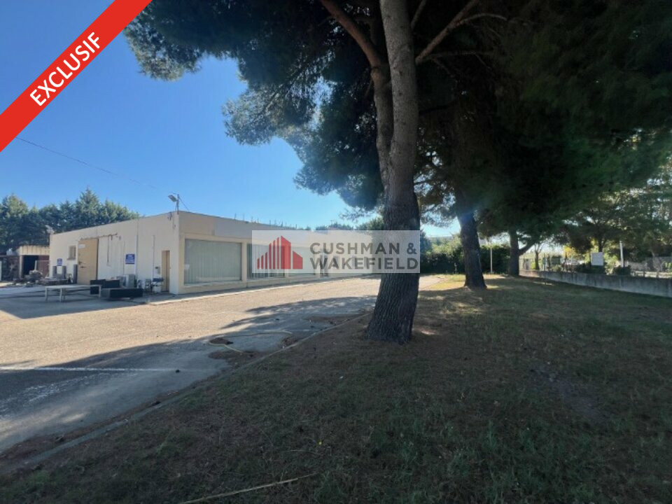 CUSHMAN WAKEFIELD NIMES VENTE-LOCAL D'ACTIVITE-NIMES-30