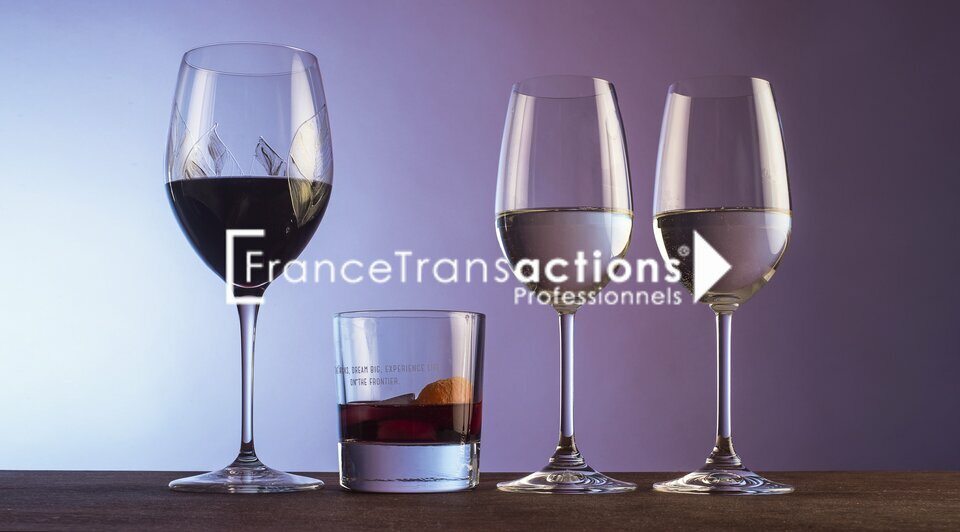 FRANCE Transactions VENTE-FONDS DE COMMERCE-TOULOUSE-31