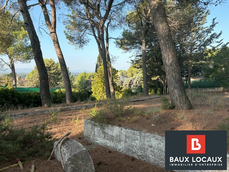 BAUX LOCAUX LOCATION-BUREAUX-CHATEAURENARD-13