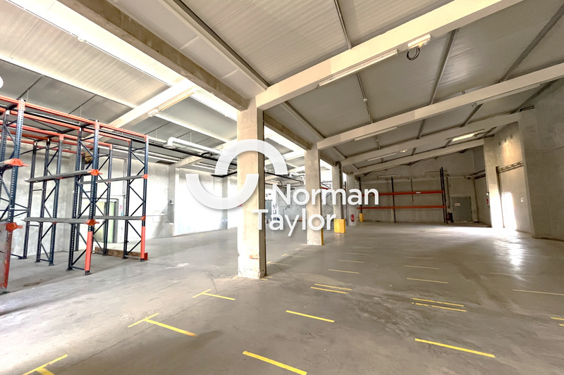 NORMAN TAYLOR MONTPELLIER LOCATION-LOCAL D'ACTIVITE-MONTPELLIER-34