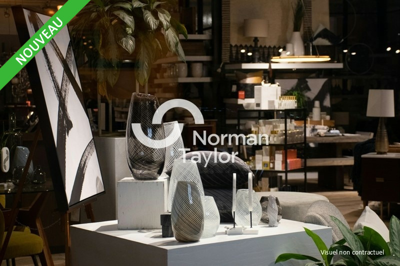 NORMAN TAYLOR MONTPELLIER LOCATION-LOCAL COMMERCIAL-CARCASSONNE-11