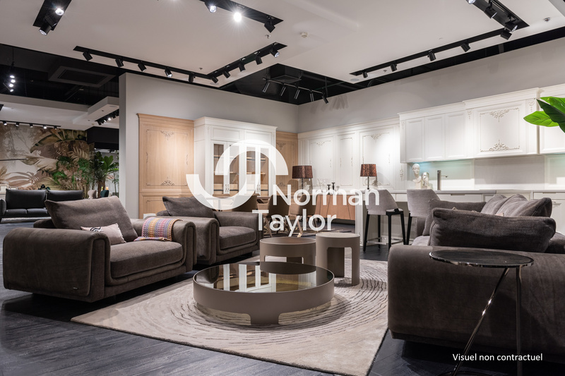 NORMAN TAYLOR MONTPELLIER LOCATION-LOCAL COMMERCIAL-CASTRES-81