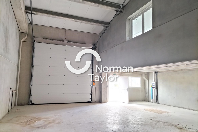 NORMAN TAYLOR MONTPELLIER LOCATION-LOCAL D'ACTIVITE-BEZIERS-34