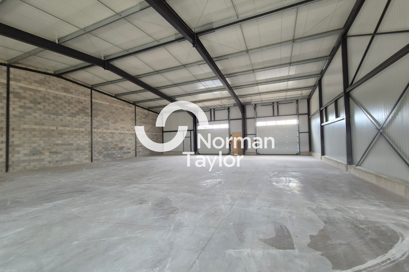 NORMAN TAYLOR MONTPELLIER LOCATION-LOCAL D'ACTIVITE-PERPIGNAN-66