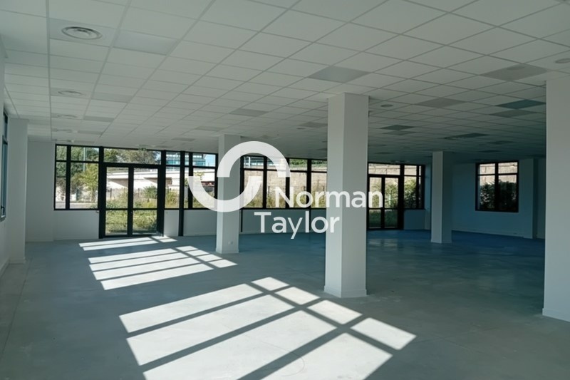 NORMAN TAYLOR LYON LOCATION-BUREAUX-LYON_7-69