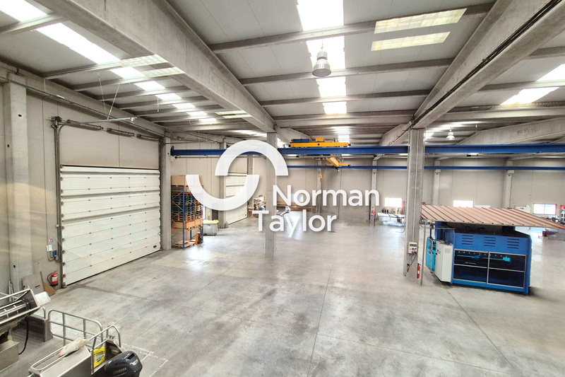 NORMAN TAYLOR MONTPELLIER LOCATION-LOCAL D'ACTIVITE-PERPIGNAN-66