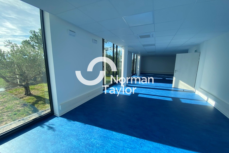 NORMAN TAYLOR MONTPELLIER LOCATION-BUREAUX-SAINT_CLEMENT_DE_RIVIERE-34