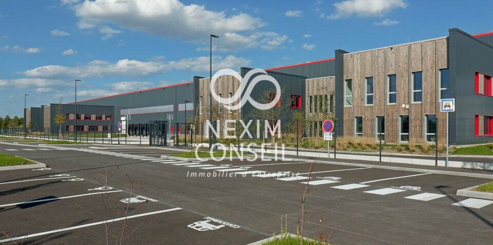 NEXIM CONSEIL LOCATION-ENTREPOT-LE_THILLAY-95