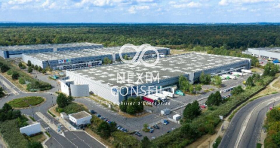 NEXIM CONSEIL LOCATION-ENTREPOT-LIEUSAINT-77