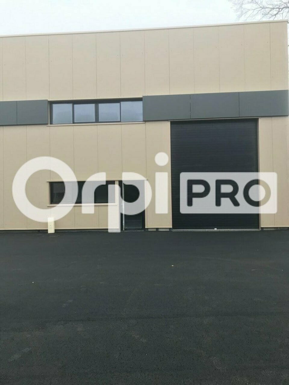 ORPI IMMO33 ENTREPRISE VENTE-LOCAL D'ACTIVITE-LE_HAILLAN-33