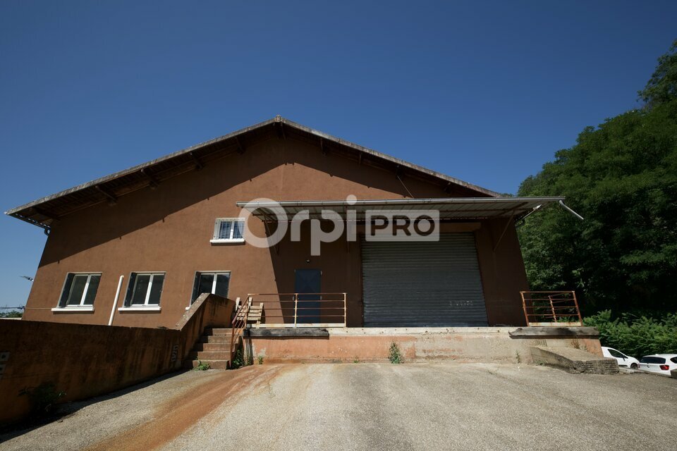 ORPI MYRIAD CONSEIL LOCATION-LOCAL D'ACTIVITE-FLEURIEU_SUR_SAONE-69