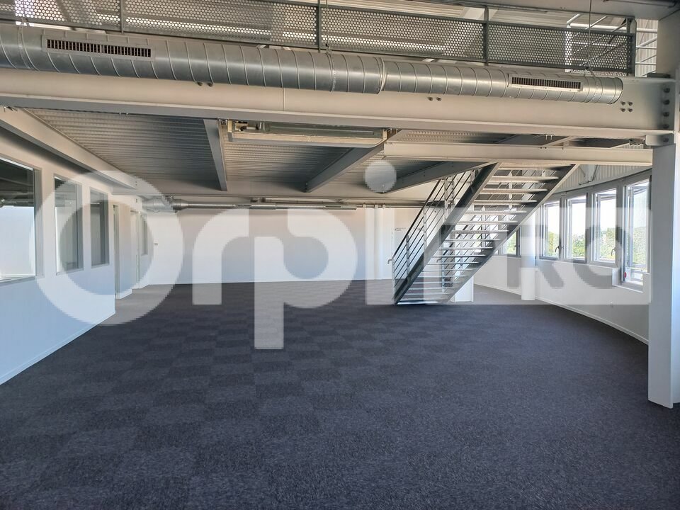 ORPI SAS DIRECT HABITAT LOCATION-BUREAUX-LE_MANS-72