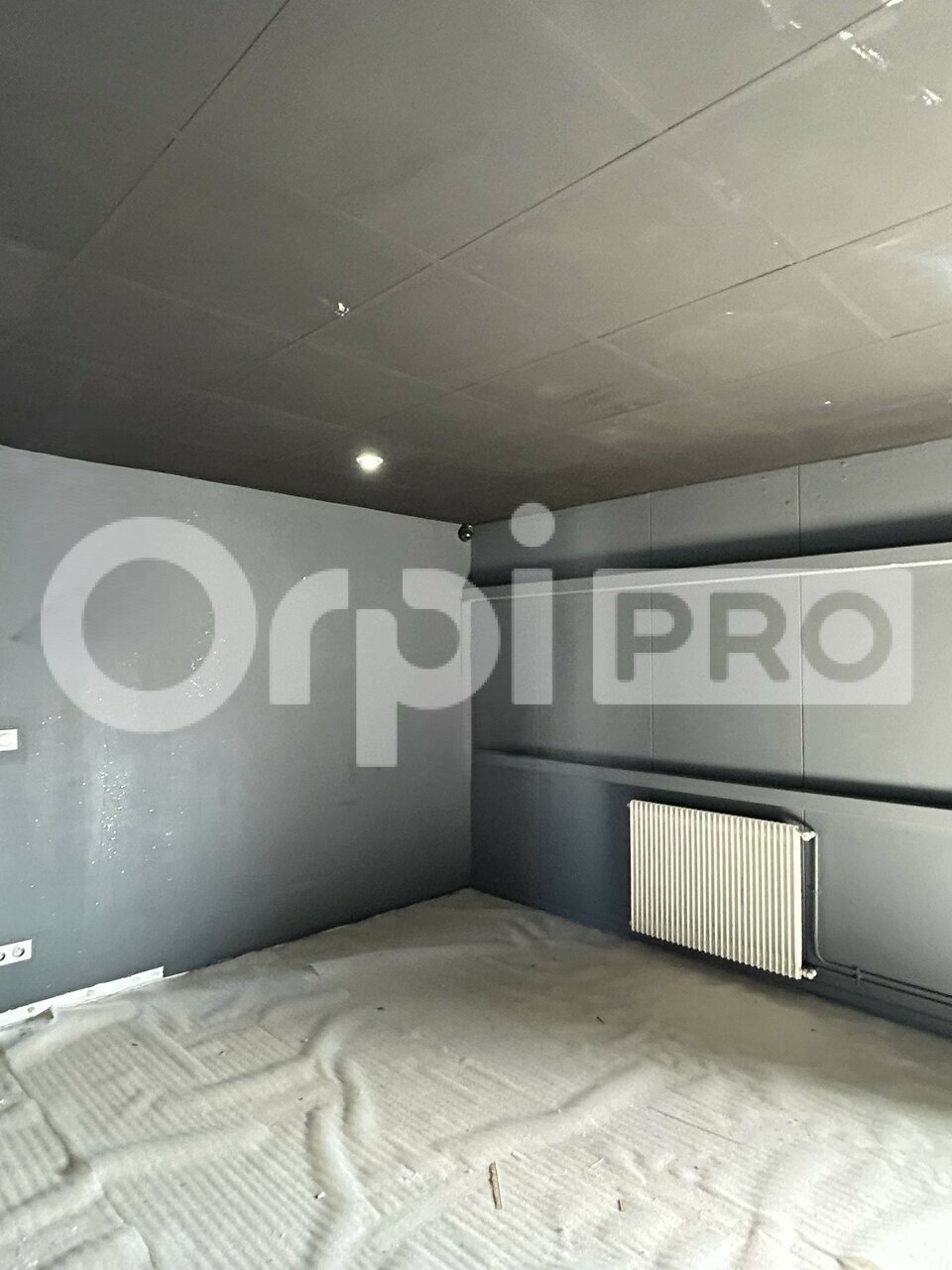 ORPI LSI Val d'Ozon LOCATION-BUREAUX-CORBAS-69