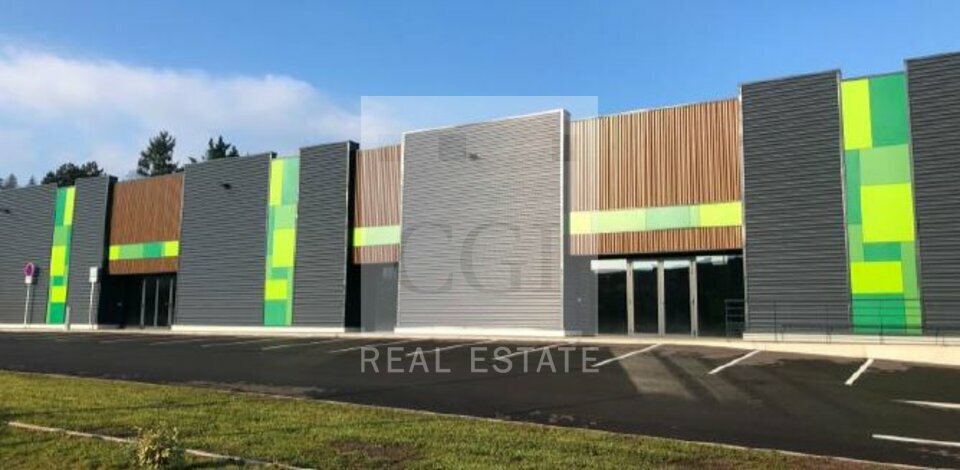 CGI REAL ESTATE LYON LOCATION-LOCAL COMMERCIAL-ANSE-69