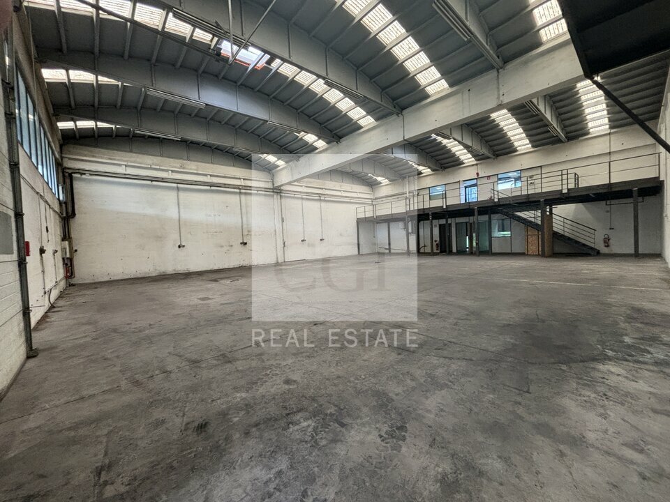 CGI REAL ESTATE LYON LOCATION-LOCAL D'ACTIVITE-GENAY-69