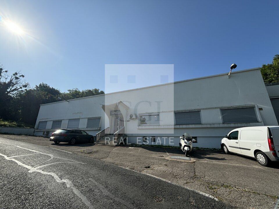 CGI LYON LOCATION-LOCAL D'ACTIVITE-FONTAINES_SUR_SAONE-69