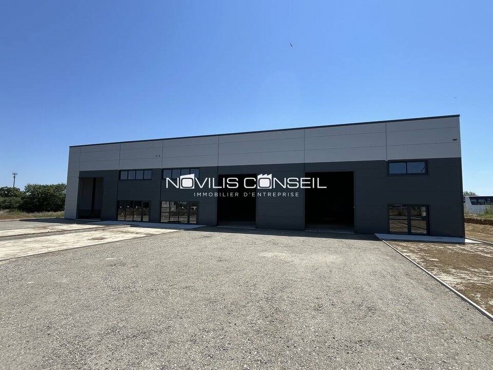 NOVILIS CONSEIL LOCATION-LOCAL D'ACTIVITE-PIBRAC-31