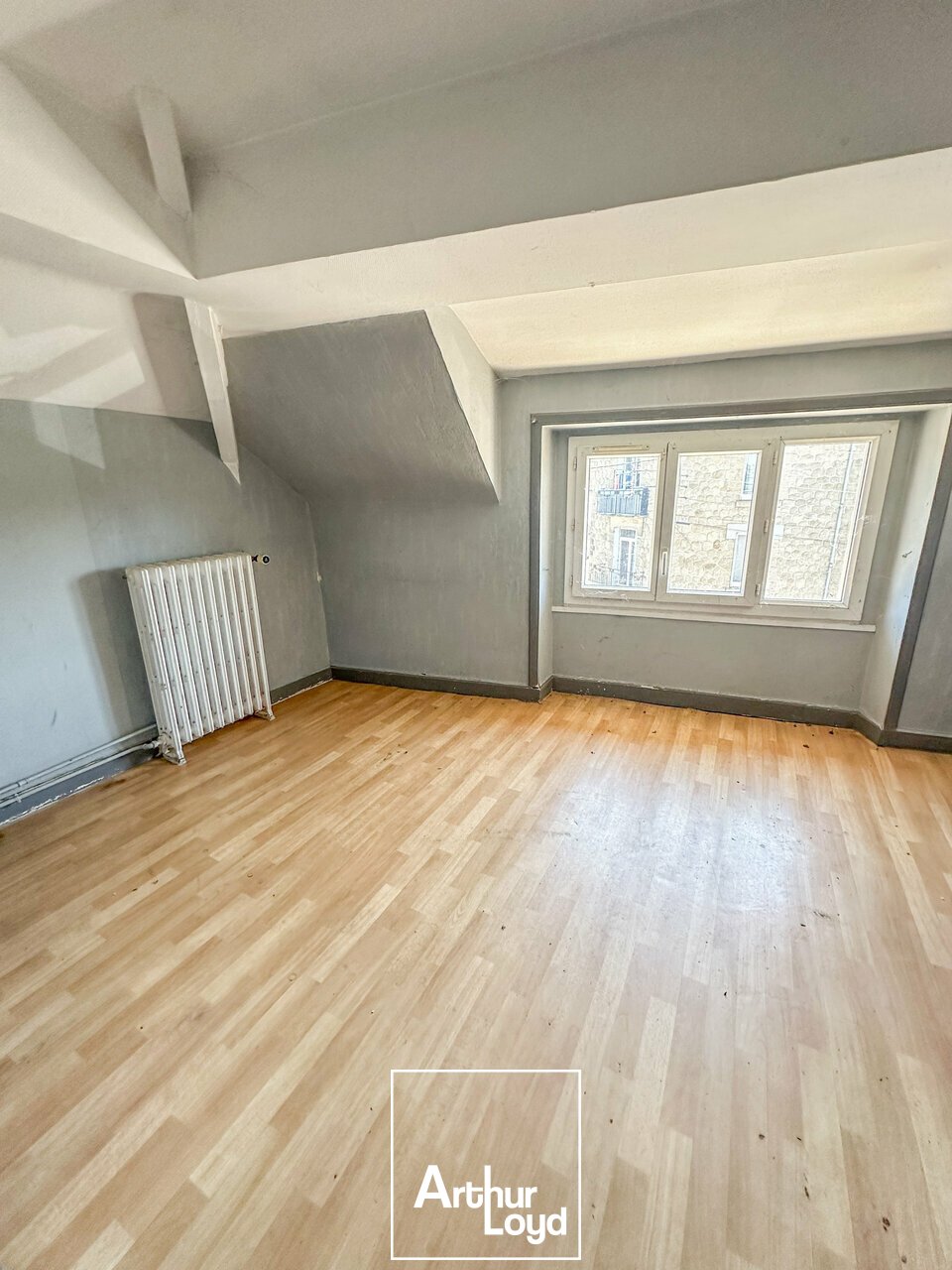 OME IMMOBILIER VENTE-IMMEUBLE-BRIVE_LA_GAILLARDE-19